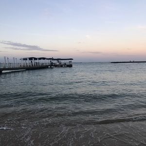 Meet your Posher, Cynthia